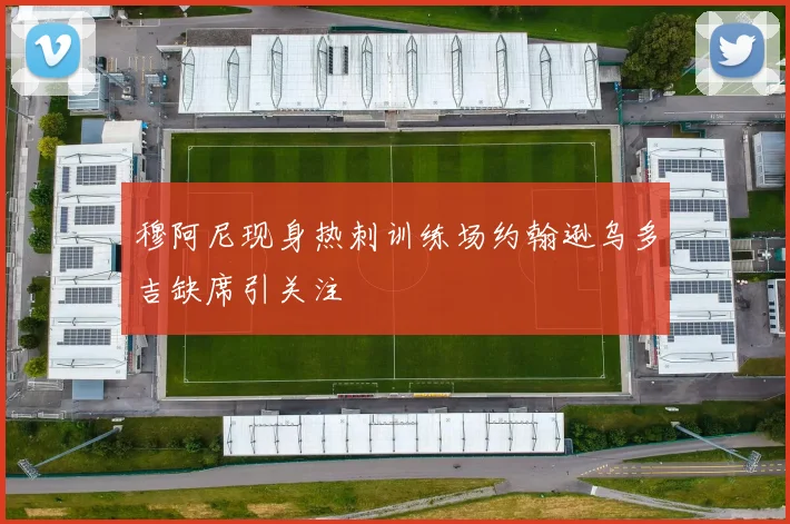 穆阿尼现身热刺训练场约翰逊乌多吉缺席引关注