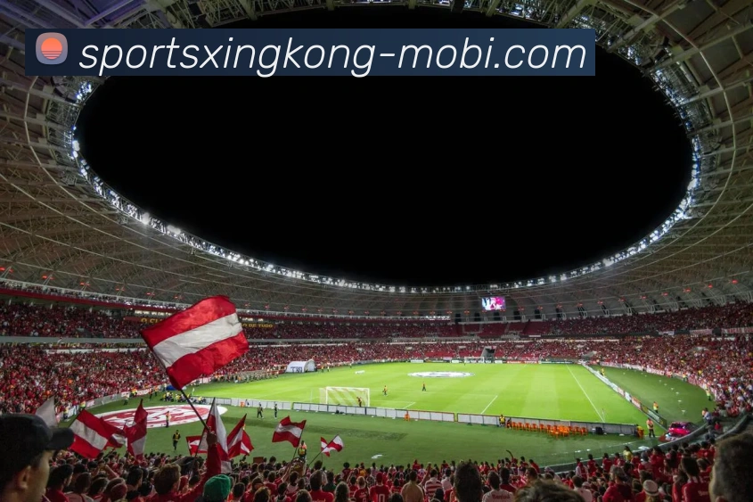 多媒体互动体验